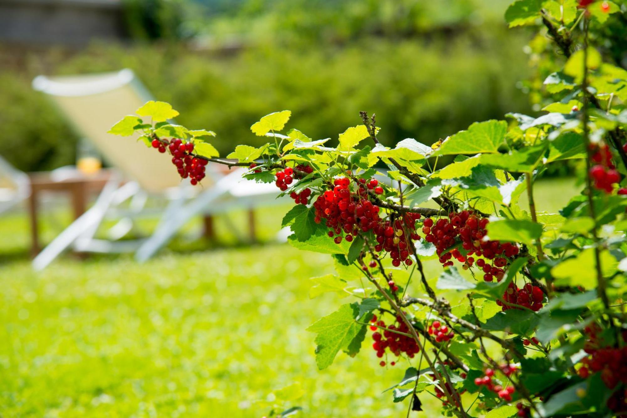 Bed and Breakfast Le Logis D'Aze Экстерьер фото